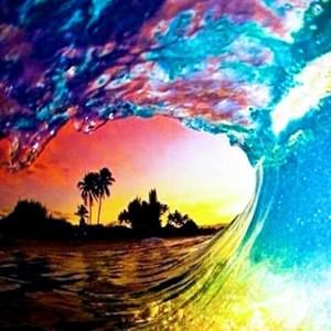 Meet your Posher, Gina